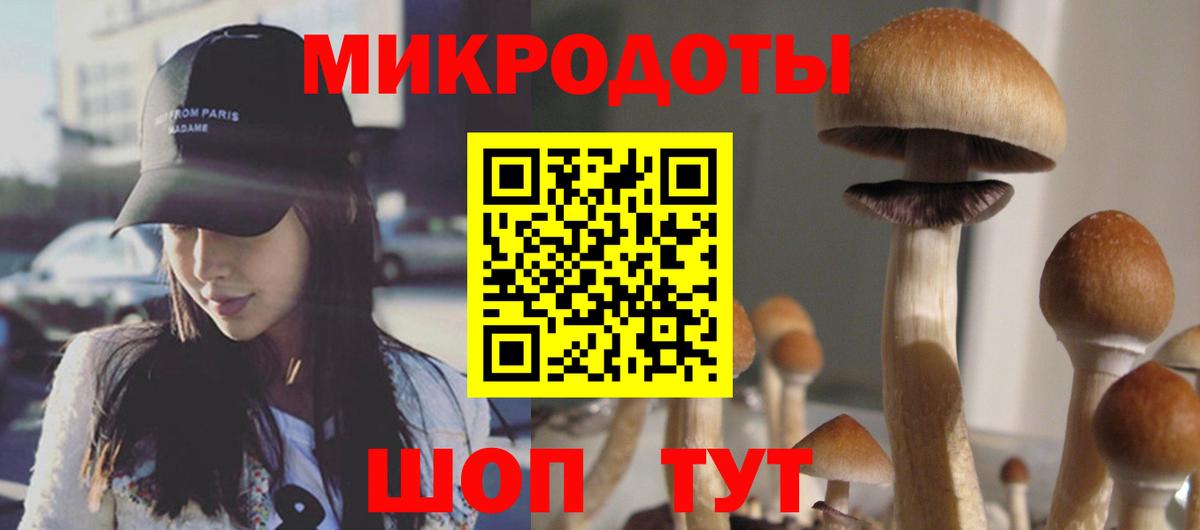 Набережные Челны  Галлюциногенные грибы Cubensis  цены   Вход с VPN 